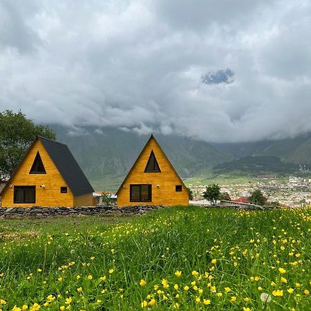 Pine Chalet Kazbegi Luaran gambar