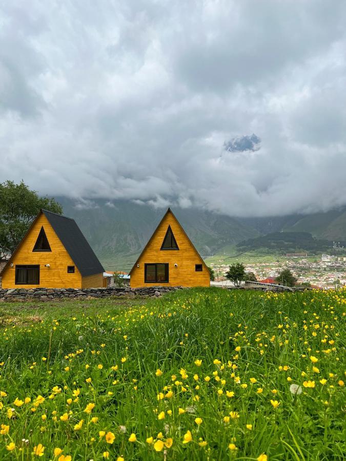 Pine Chalet Kazbegi Luaran gambar