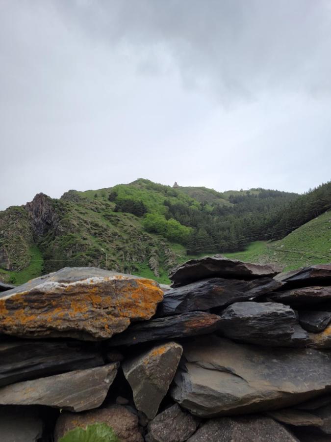 Pine Chalet Kazbegi Luaran gambar
