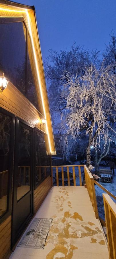 Pine Chalet Kazbegi Luaran gambar