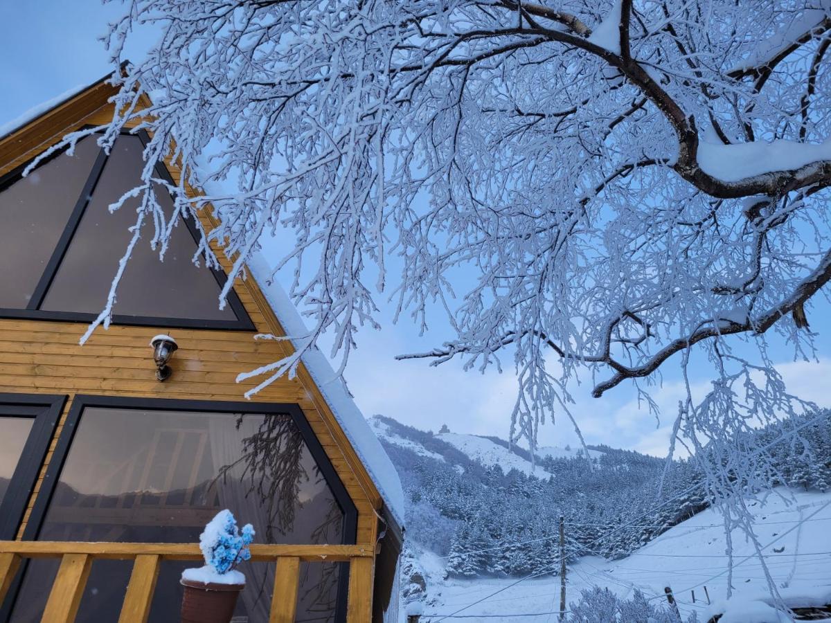 Pine Chalet Kazbegi Luaran gambar