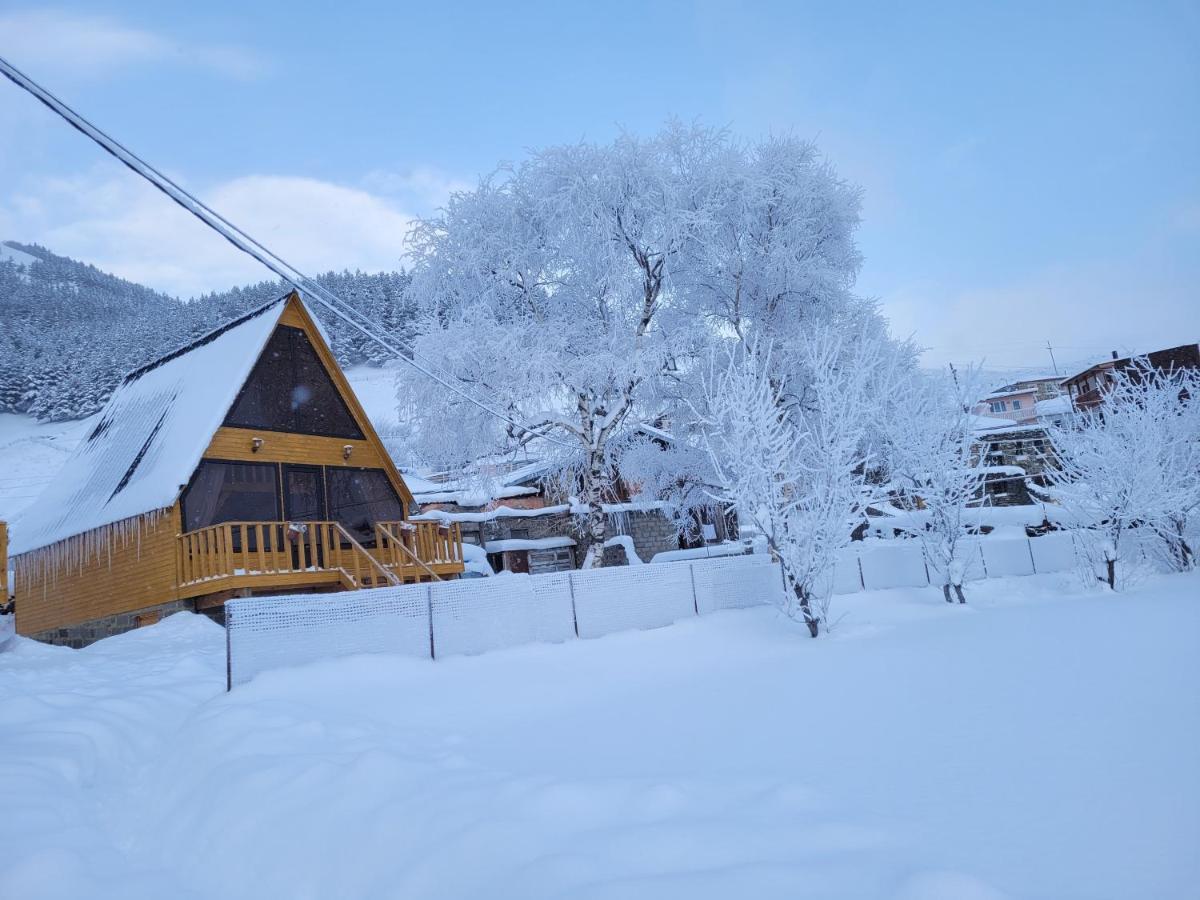Pine Chalet Kazbegi Luaran gambar