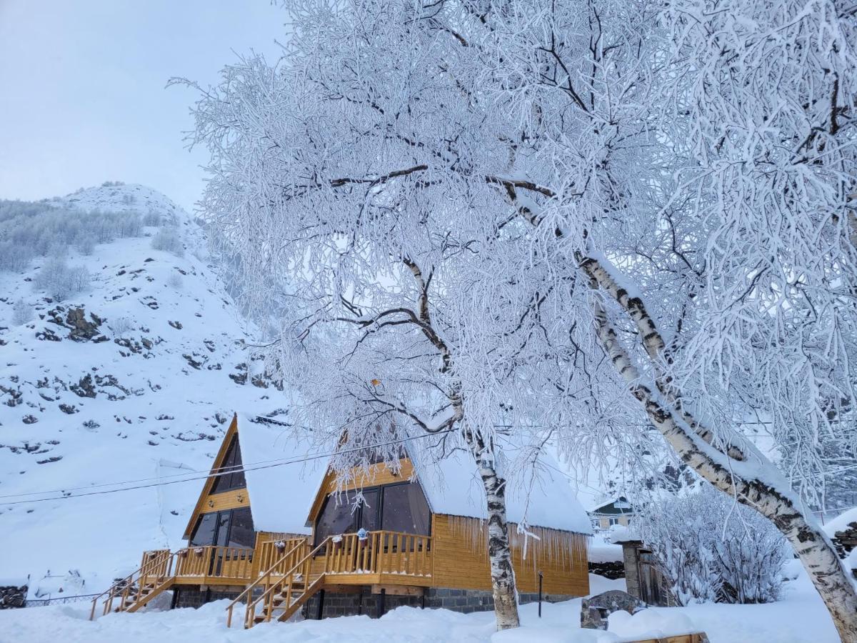 Pine Chalet Kazbegi Luaran gambar
