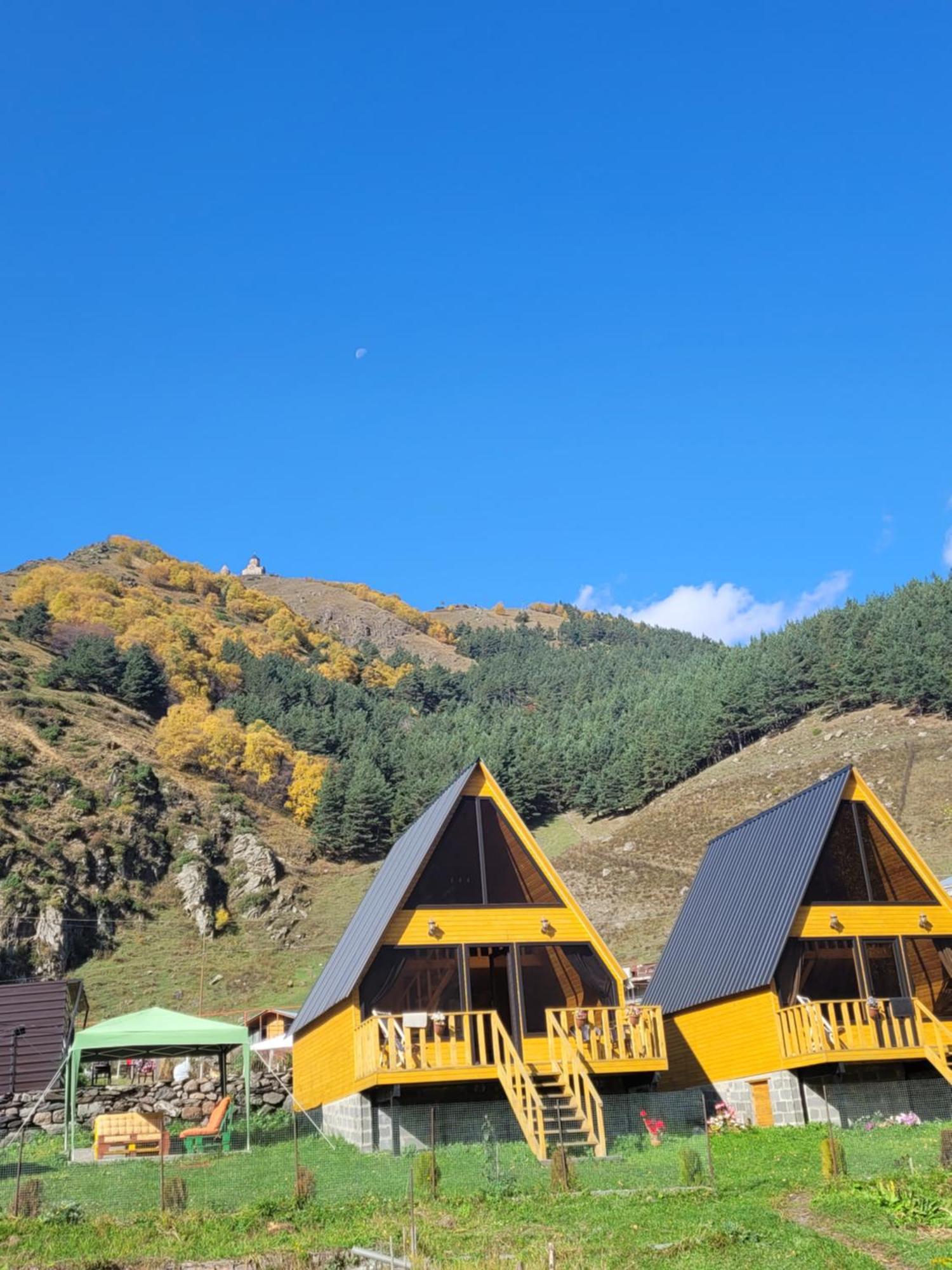Pine Chalet Kazbegi Luaran gambar