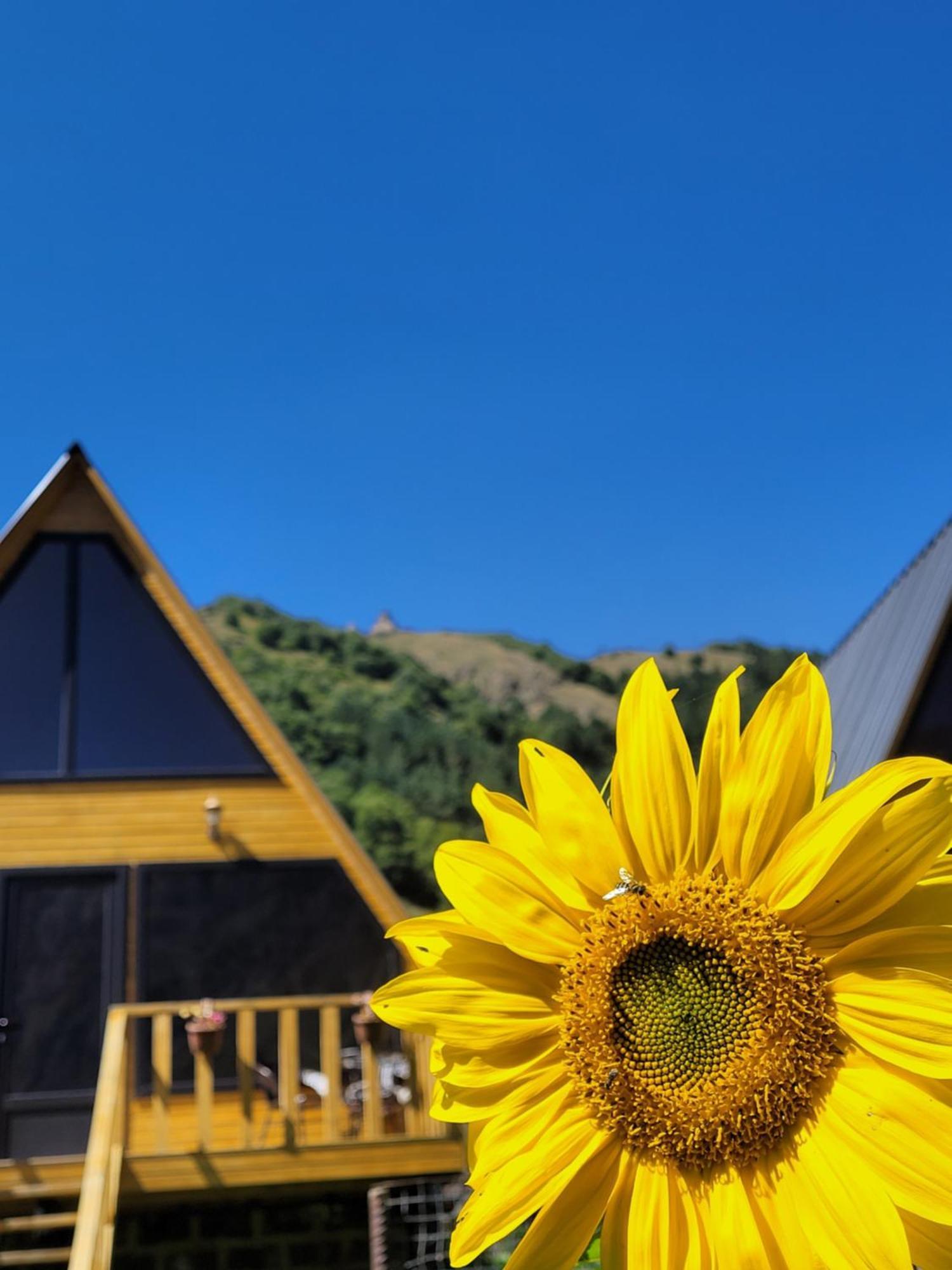 Pine Chalet Kazbegi Luaran gambar